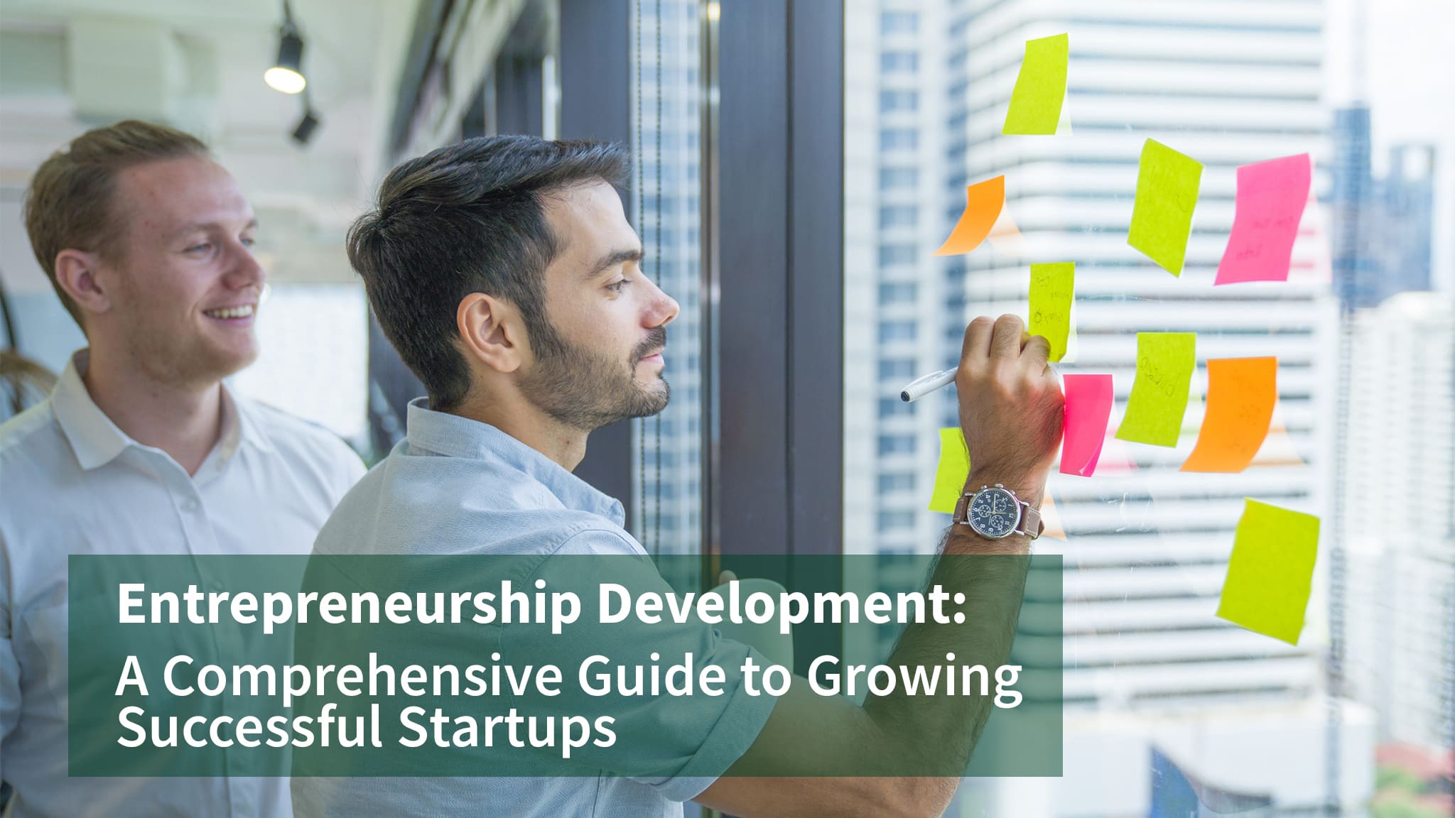 Entrepreneurship Development: A Comprehensive Guide to Growing Successful Startups